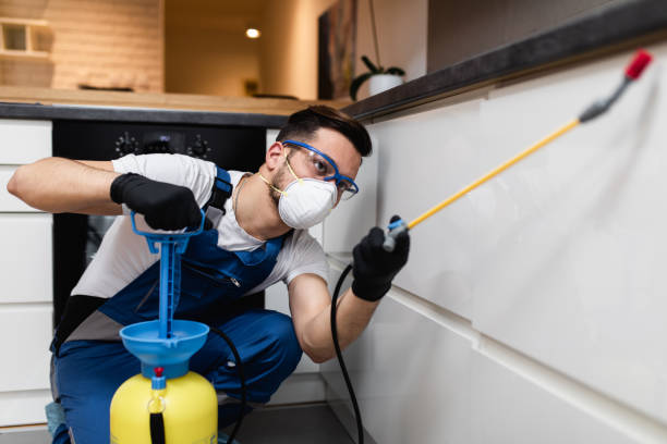 Best Commercial Pest Control Services  in Okolona, MS