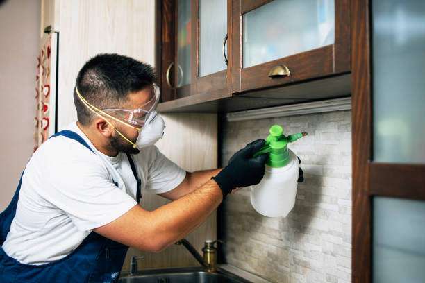 Best Mosquito Control Services  in Okolona, MS