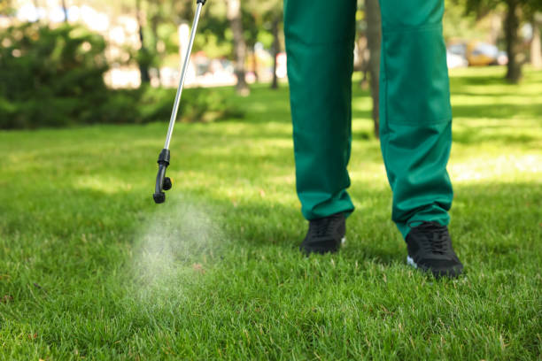 Best Mosquito Control Services  in Okolona, MS