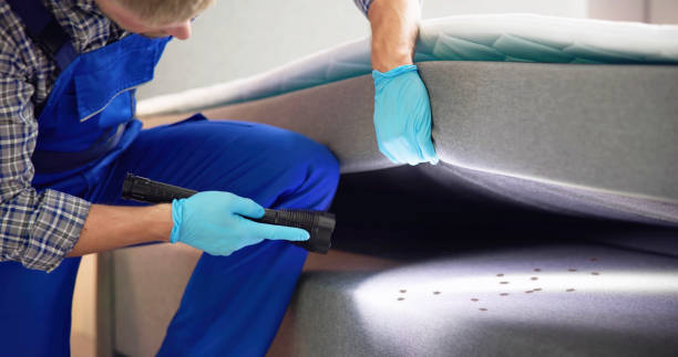 Best Pest Control Near Me in Okolona, MS
