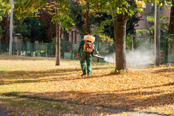 Best Exterminator Services  in Okolona, MS